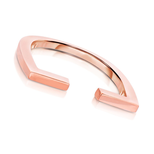ID同志自戴戒指 Equality Ring 