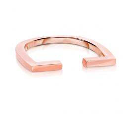 ID同志自戴戒指 Equality Ring 